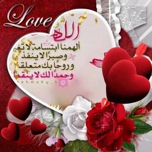 Meet your Posher, Heba